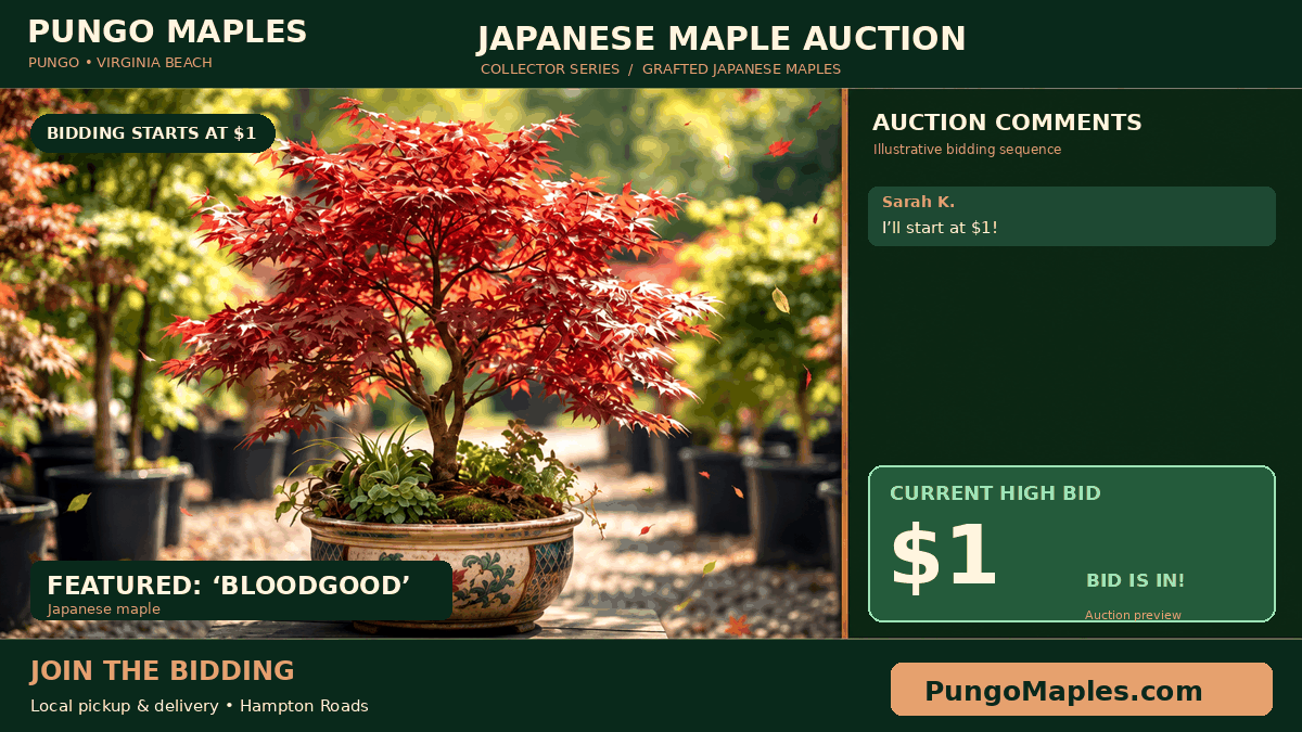 Pungo Maples live auctions — check back for our next broadcast