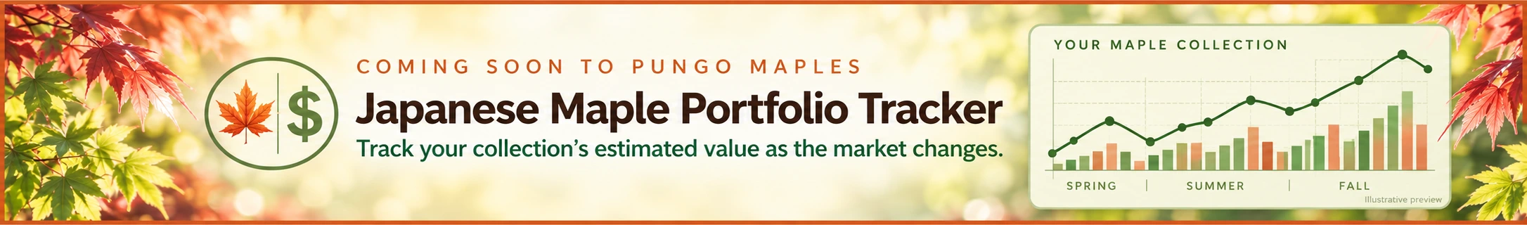 Japanese Maple Investment Portfolio
